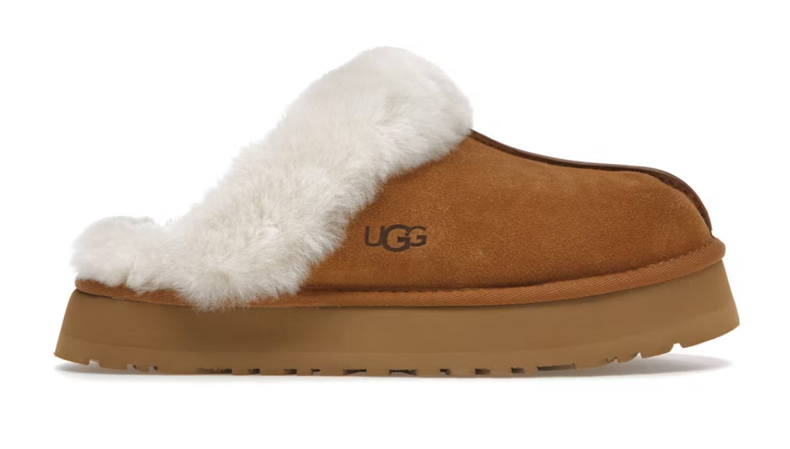 Disquette Slipper