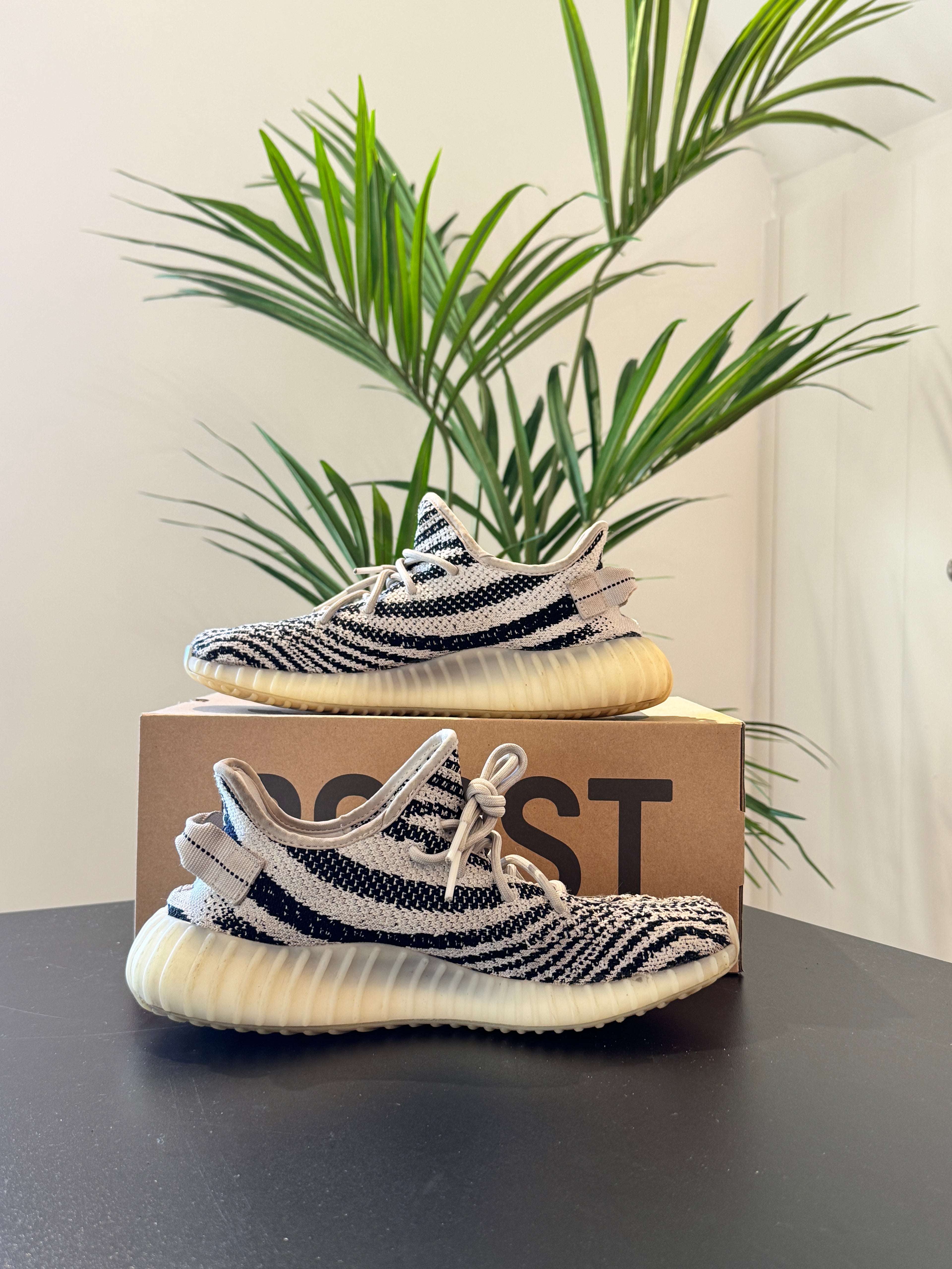 adidas Yeezy Boost 350 V2 Zebra