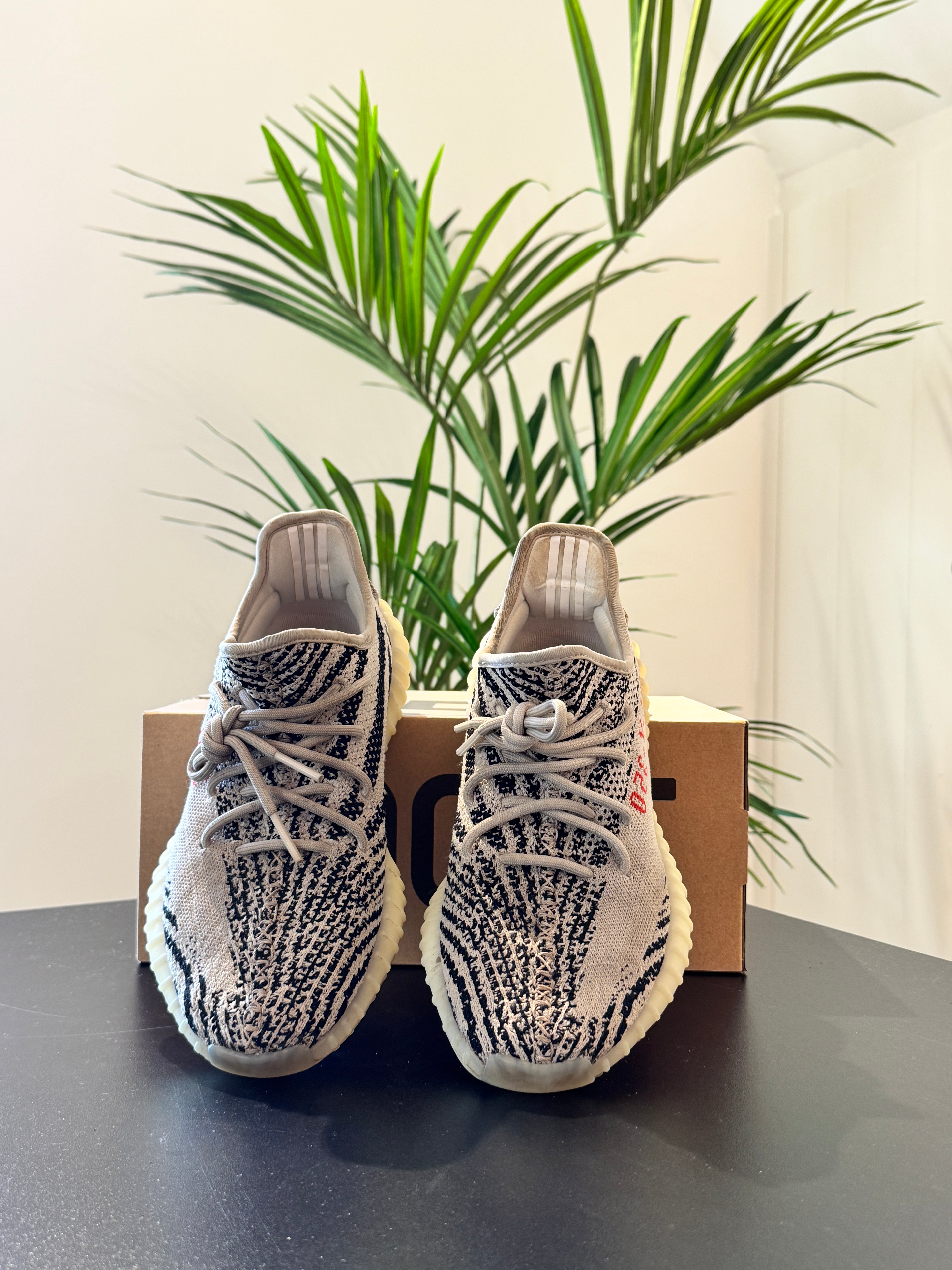 adidas Yeezy Boost 350 V2 Zebra