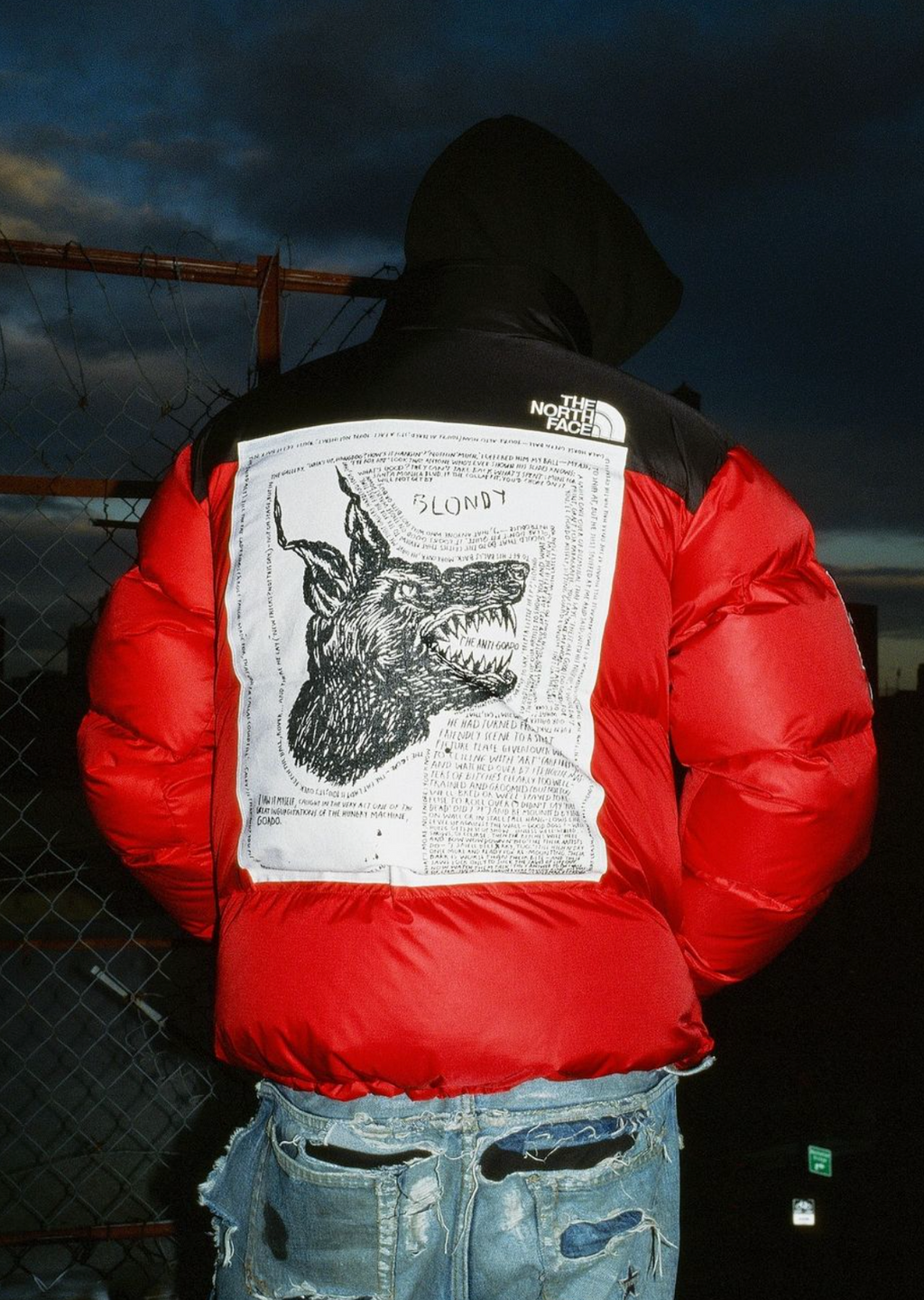 Supreme The North Face Nuptse Jacket Red